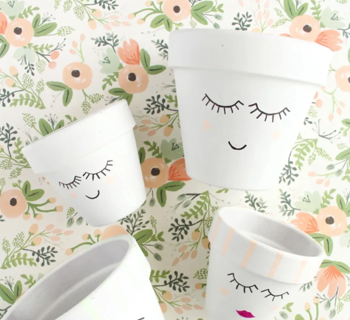 Paint a plant pot